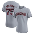 Blackjersey C.Guardians #75 Connor Brogdon Player Gray Road Limited Elite Home Stitched Jerseys